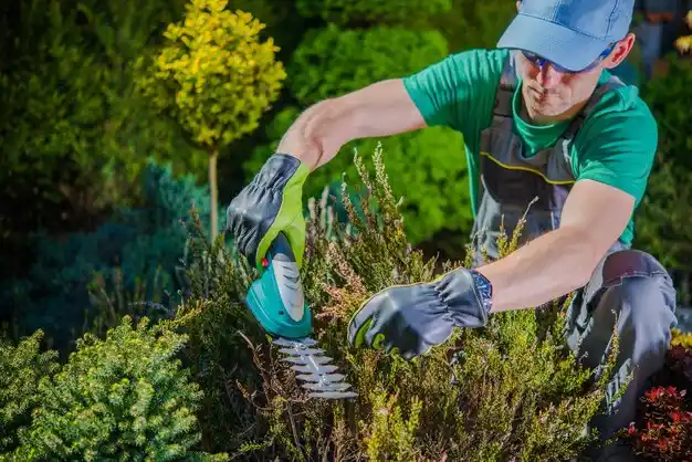 landscaping services Bolindale